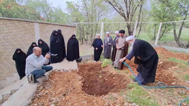 تصاویر| ادای احترام به رهبر شهید در یاسوج؛ غرس نهال توسط حجت‌الاسلام والمسلمین علیزاده در بدو ورود به کهگیلویه و بویراحمد