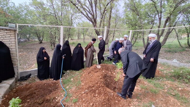 تصاویر| ادای احترام به رهبر شهید در یاسوج؛ غرس نهال توسط حجت‌الاسلام والمسلمین علیزاده در بدو ورود به کهگیلویه و بویراحمد
