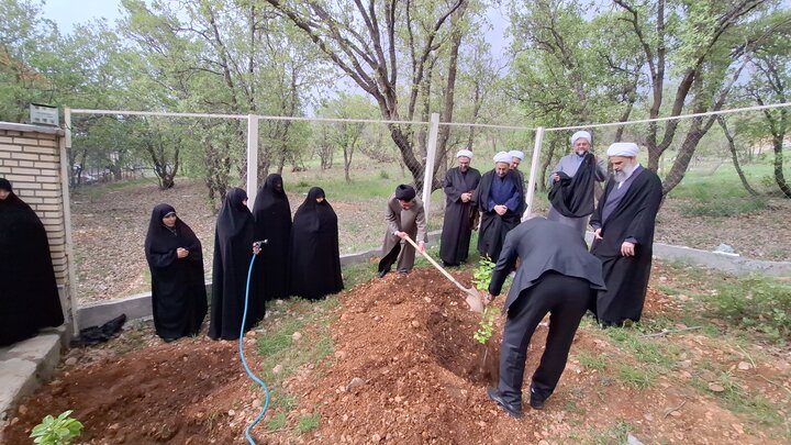 تصاویر| ادای احترام به رهبر شهید در یاسوج؛ غرس نهال توسط حجت‌الاسلام والمسلمین علیزاده در بدو ورود به کهگیلویه و بویراحمد