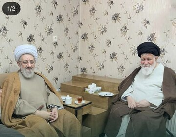 دیدار معاون رئیس دیوان‌عالی کشور با آیت الله سیداحمد علم الهدی