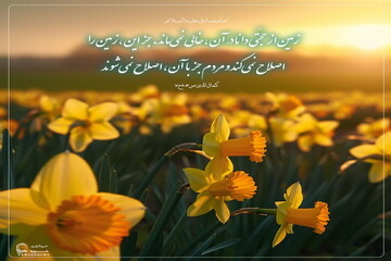 عکس نوشت|  اصلاح کننده زمین و مردم