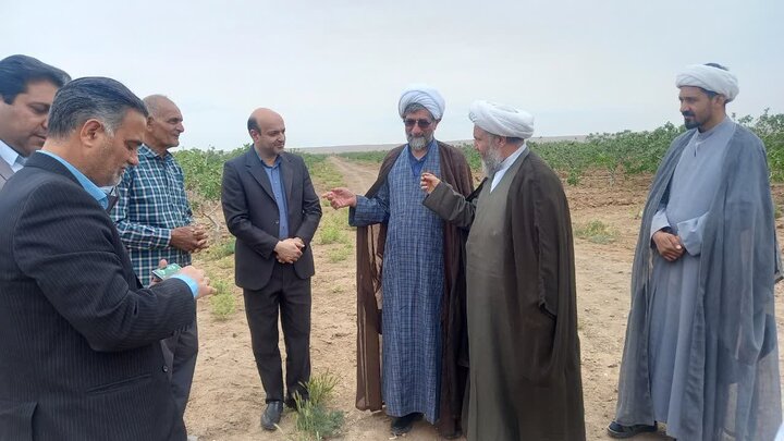 تصاویر/طرح پلاک کوبی شجره طیبه با حضورمسئول ز کات استان اصفهان وامام جمعه آران وبیدگل