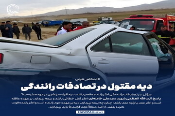 عکس نوشت| دیه مقتول در تصادفات رانندگی