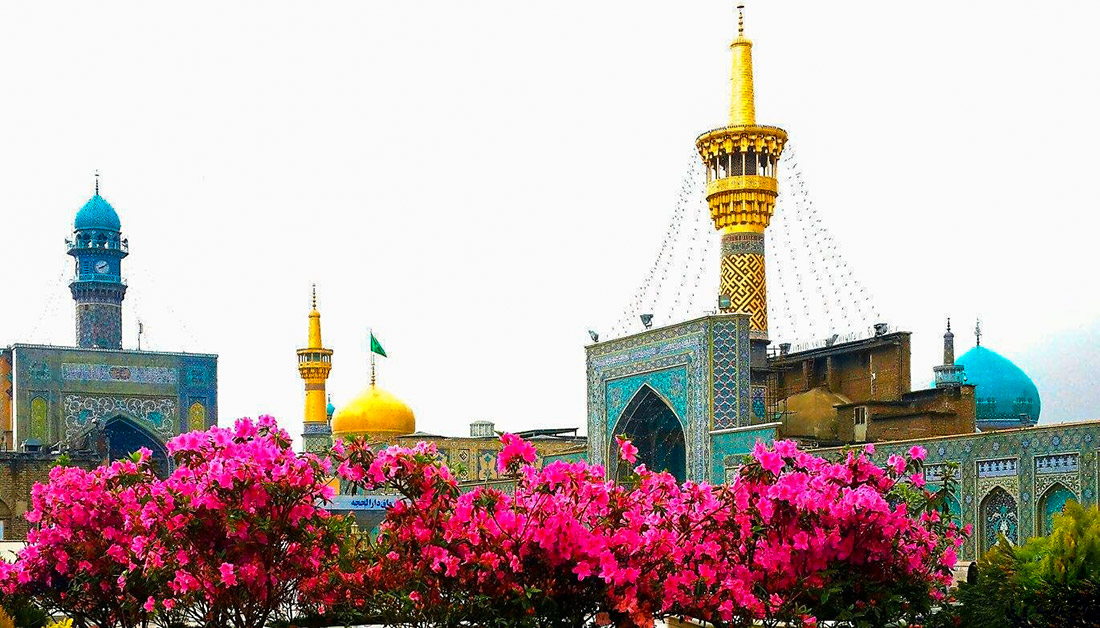 الإمام الرضا (عليه السلام).. مدرسة العلم الإلهي