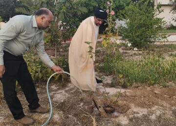 کاشت ۴ اصله نهال توسط امام جمعه گناوه+عکس