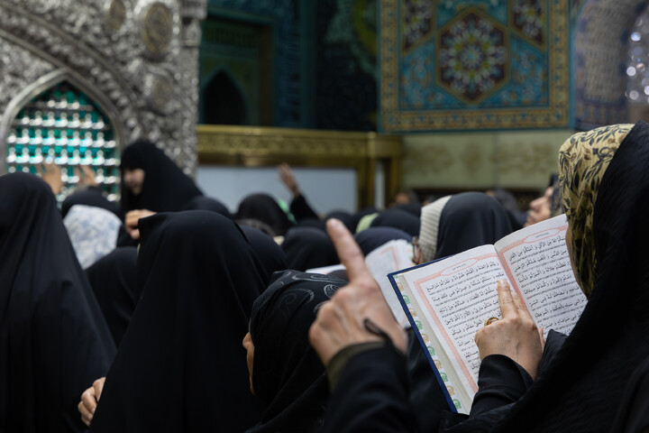 تصاویر/ گل‌آرایی ضریح مطهر رضوی در آستانه ولادت امام رضا (علیه‌السلام)