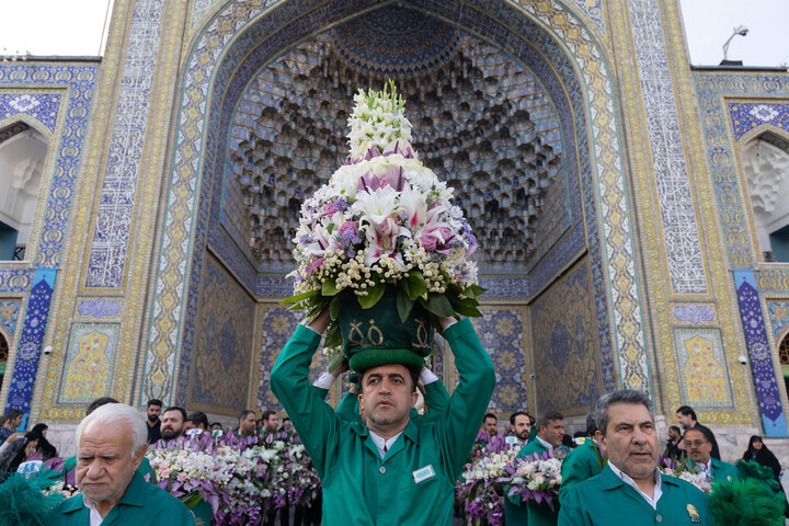 تصاویر/ گل‌آرایی ضریح مطهر رضوی در آستانه ولادت امام رضا (علیه‌السلام)