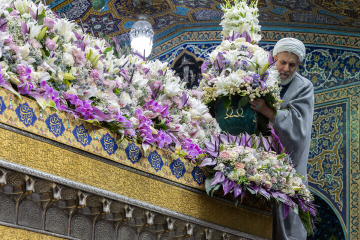 تصاویر/ گل‌آرایی ضریح مطهر رضوی در آستانه ولادت امام رضا (علیه‌السلام)