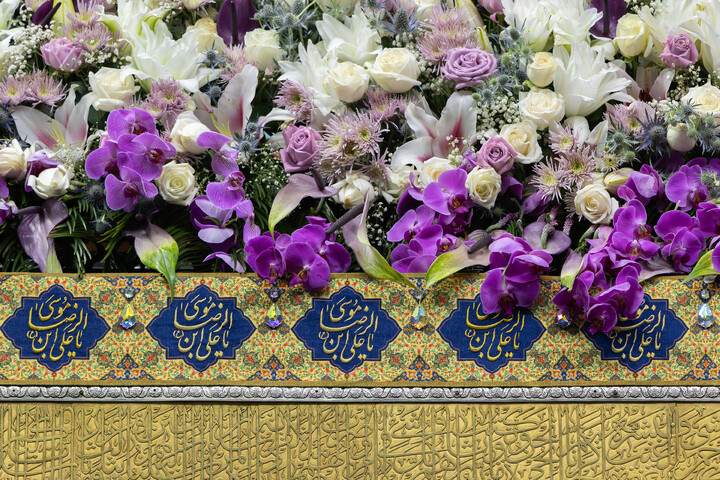 تصاویر/ گل‌آرایی ضریح مطهر رضوی در آستانه ولادت امام رضا (علیه‌السلام)
