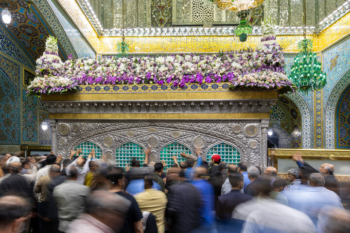 تصاویر/ گل‌آرایی ضریح مطهر رضوی در آستانه ولادت امام رضا (علیه‌السلام)