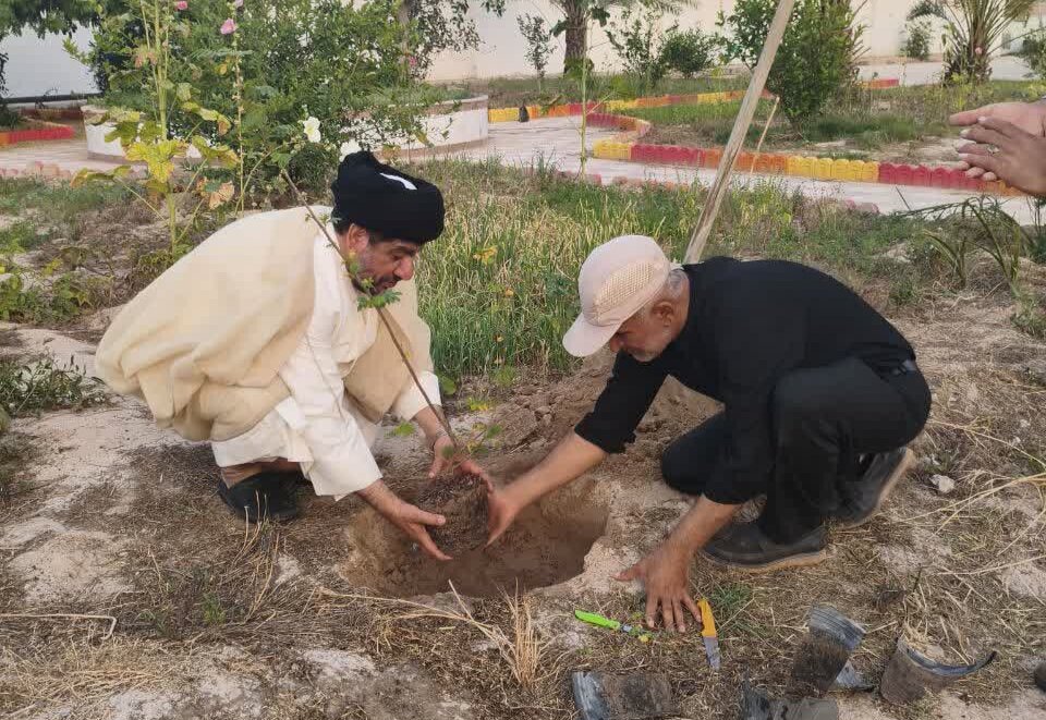 توسط/ کاشت ۴ اصله نهال توسط امام جمعه گناوه