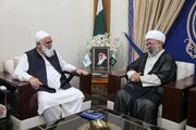 علامہ امین شہیدی کی علامہ سید جواد نقوی سے ملاقات / مختلف امور پر تبادلہ خیال