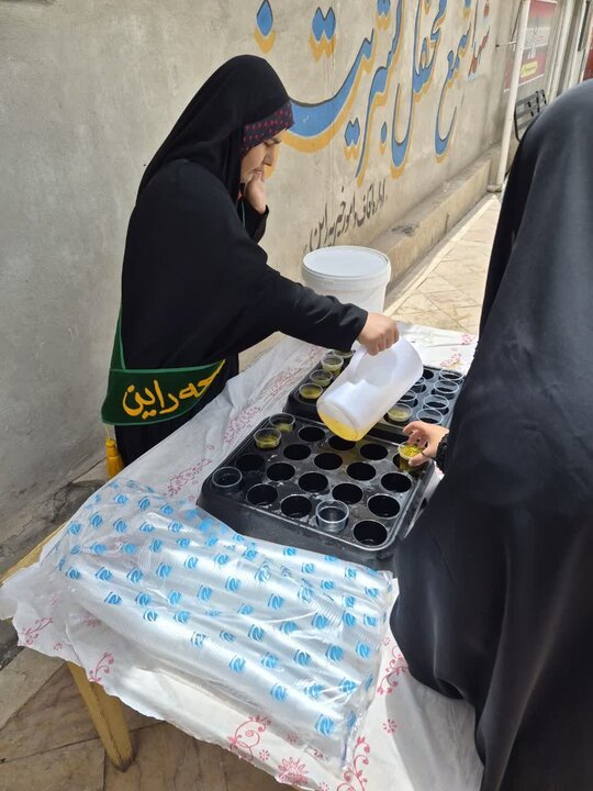 تصاویر/ اقامه نمازجمعه شهر راین