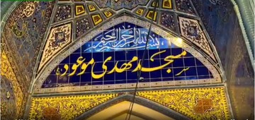 فیل | سفیران کریمه(س) در قلب بندرعباس