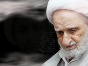ویڈیو/ مرحوم آیت اللہ العظمی بہجت کی برسی کے موقع پر  ایک تاریخی ویڈیو کلپ منظر عام پر