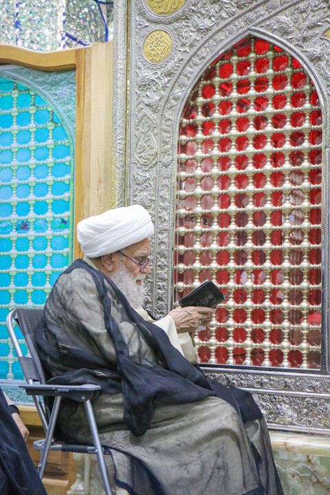 تصاویر/ زیارت آیت الله علی کریمی جهرمی در آستان مقدس حرم حضرت موسی مبرقع علیه‌السلام