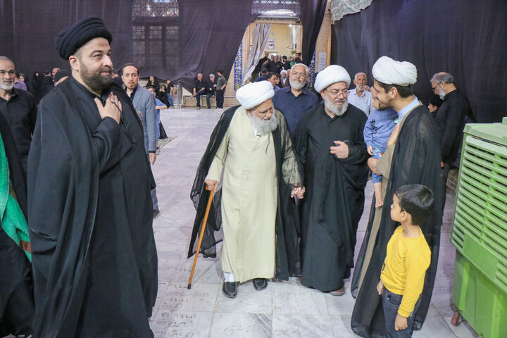 تصاویر/ زیارت آیت الله علی کریمی جهرمی در آستان مقدس حرم حضرت موسی مبرقع علیه‌السلام