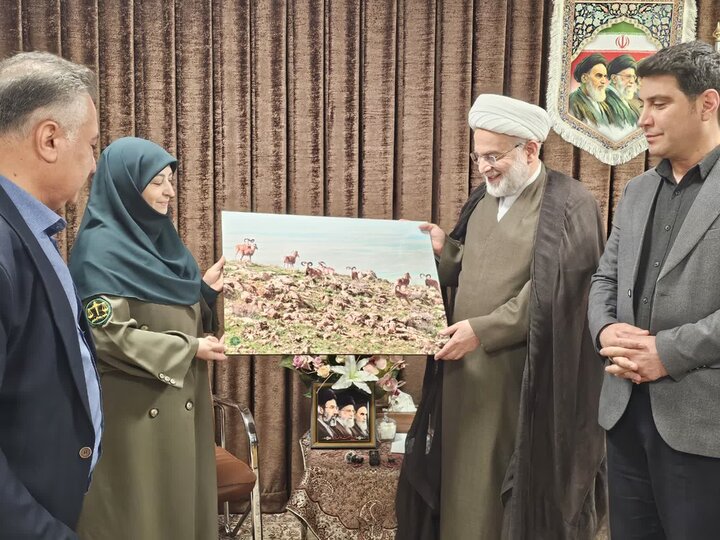 تصاویر/ دیدار معاون رئیس‌جمهور و رئیس سازمان حفاظت محیط‌زیست کشور، با نماینده ولی‌فقیه در کردستان