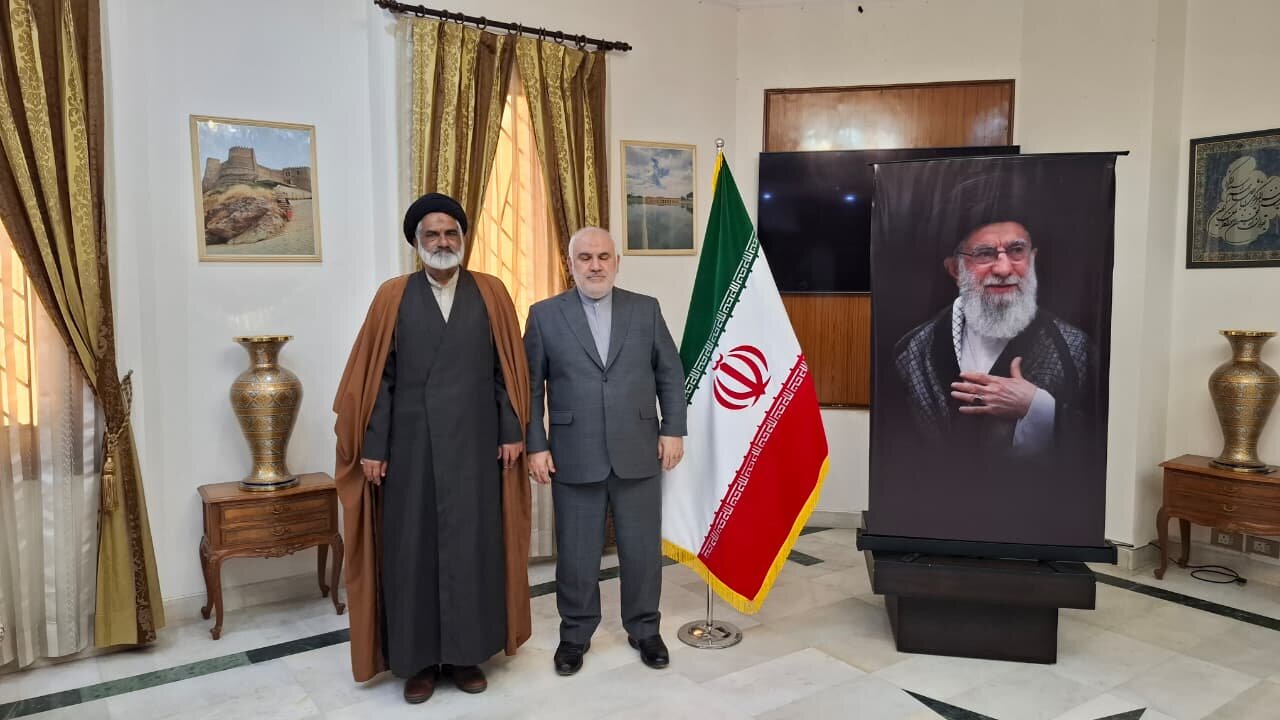 امام خامنہ ای کی مظلومانہ اور غمناک شہادت نے دنیا بھر کے حریت پسند مسلم اور غیر مسلم حلقوں کو بیدار کردیا: حجت الاسلام ذاکر حسین جعفری