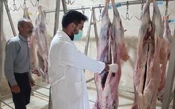 استقرار ۲۱ اکیپ نظارت شرعی و بهداشتی بر قربانی‌های عید قربان در قم