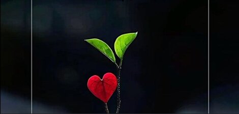 A Strategy for Attracting Distant Hearts