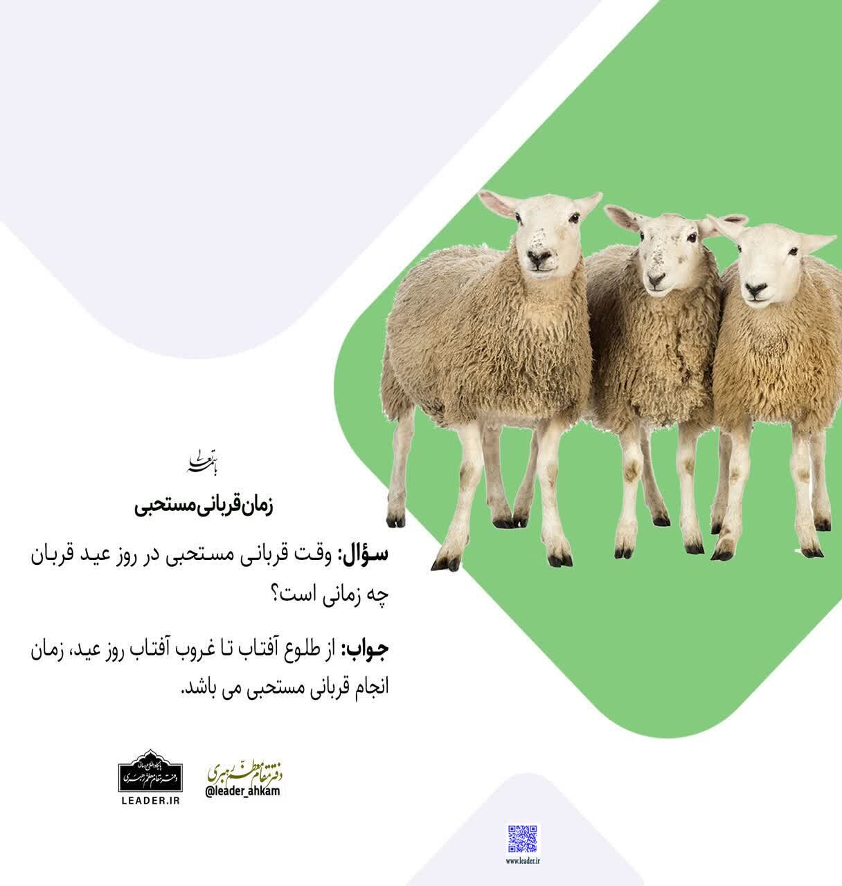 احکام شرعی | زمان قربانی مستحبی