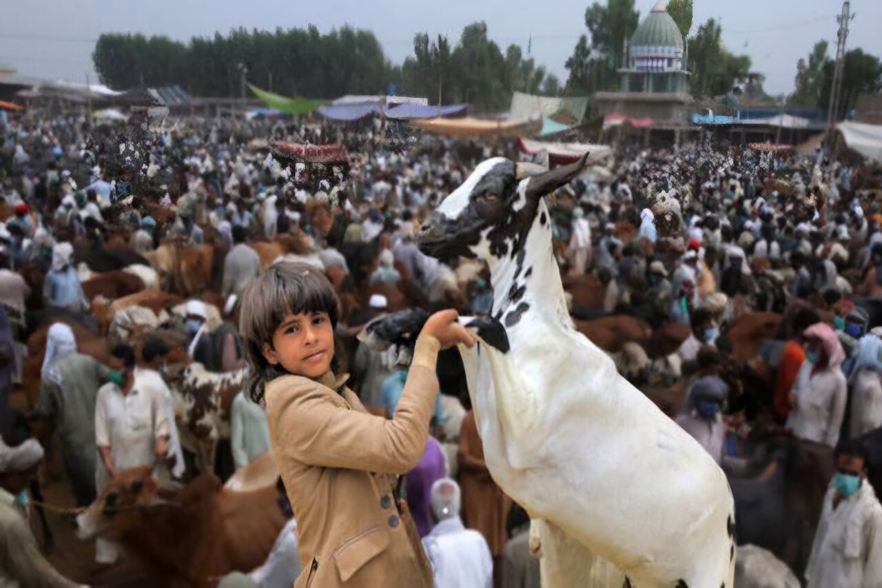 پاکستان بھر میں عید الاضحٰی مذہبی جوش و خروش سے منائی جا رہی ہے