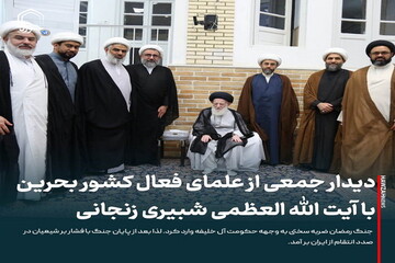 عکس نوشت| دیدار جمعی از علمای فعال کشور بحرین با آیت الله العظمی شبیری زنجانی