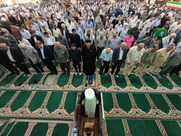 نماز جمعه بوشهر به روایت تصویر