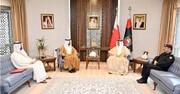 بحرین میں شیعوں پر حملے کی اماراتی نائب وزیر اعظم کی حمایت
