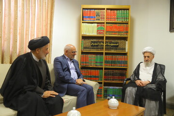 تصاویر / دیدار رئیس دفتر رئیس‌جمهور با آیت‌الله‌ العظمی سبحانی