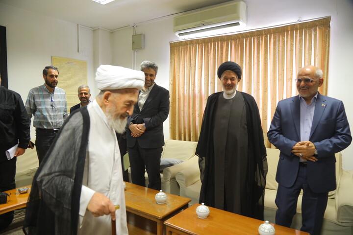 تصاویر / دیدار رئیس دفتر رئیس‌جمهور با آیت‌الله‌العظمی سبحانی