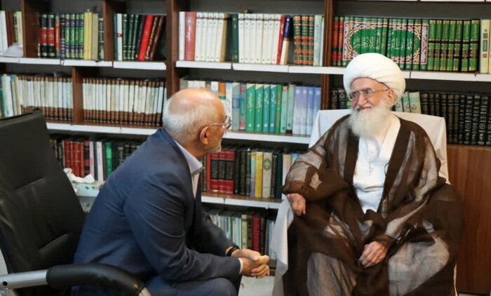 مذاکرات میں رہبر معظم کی ہدایات کی مکمل پاسداری کی جائے: آیت اللہ العظمیٰ نوری ہمدانی
