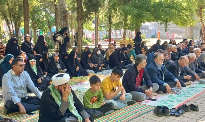 تصاویر