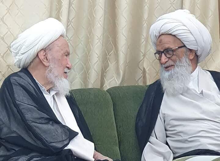 Ayatullah al-Udhma Bashir Najafi: Leo mzee na Sheikh wa Najaf Ashraf ametutoka