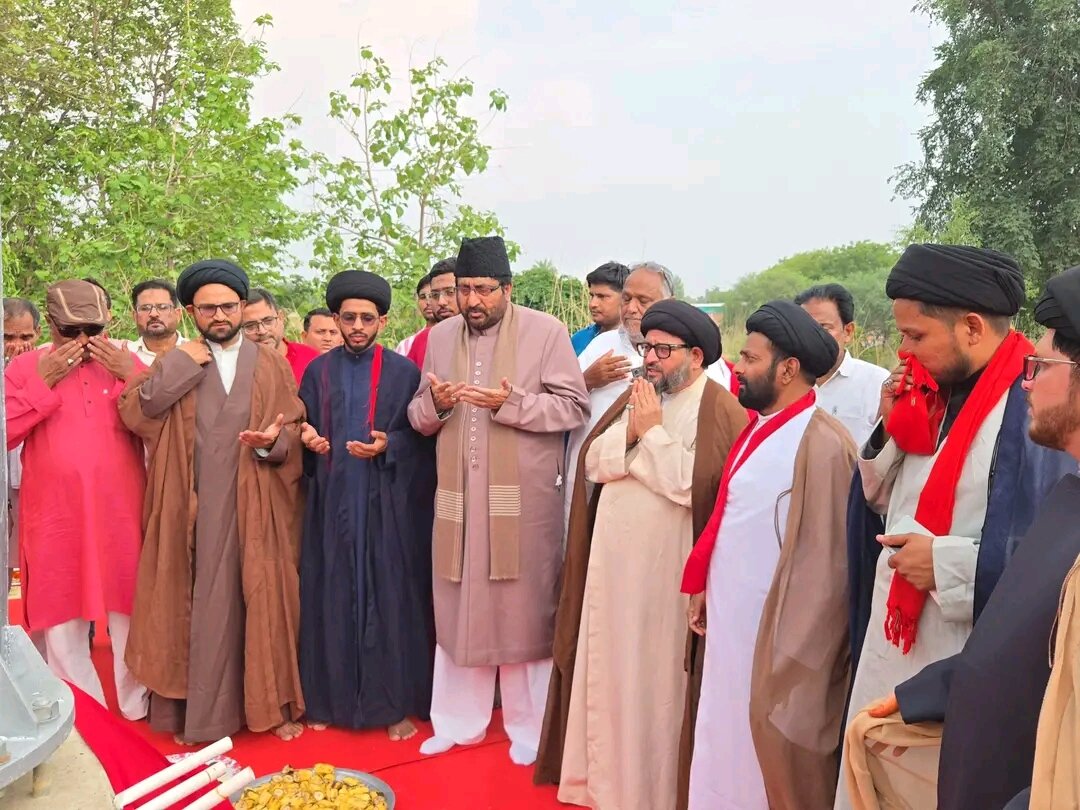 شیولی