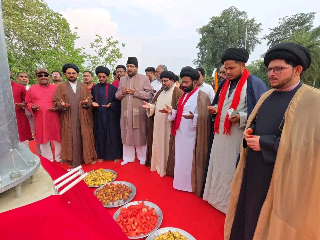 شیولی