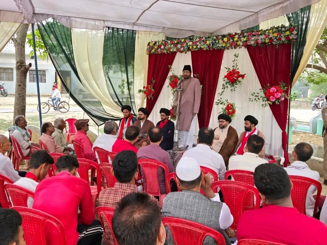 شیولی 