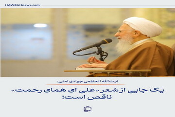 عکس نوشت| یک جایی از شعر «علی ای همای رحمت» ناقص است!