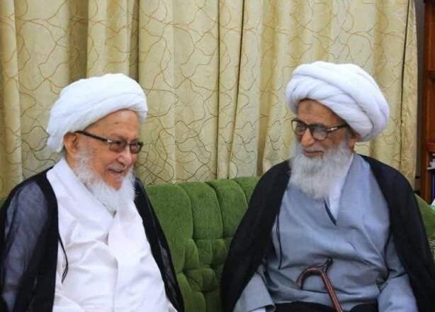 آیت اللہ العظمیٰ بشیر نجفی کا آیت اللہ العظمیٰ محمد اسحاق فیاض کے انتقال پر تعزیتی بیان