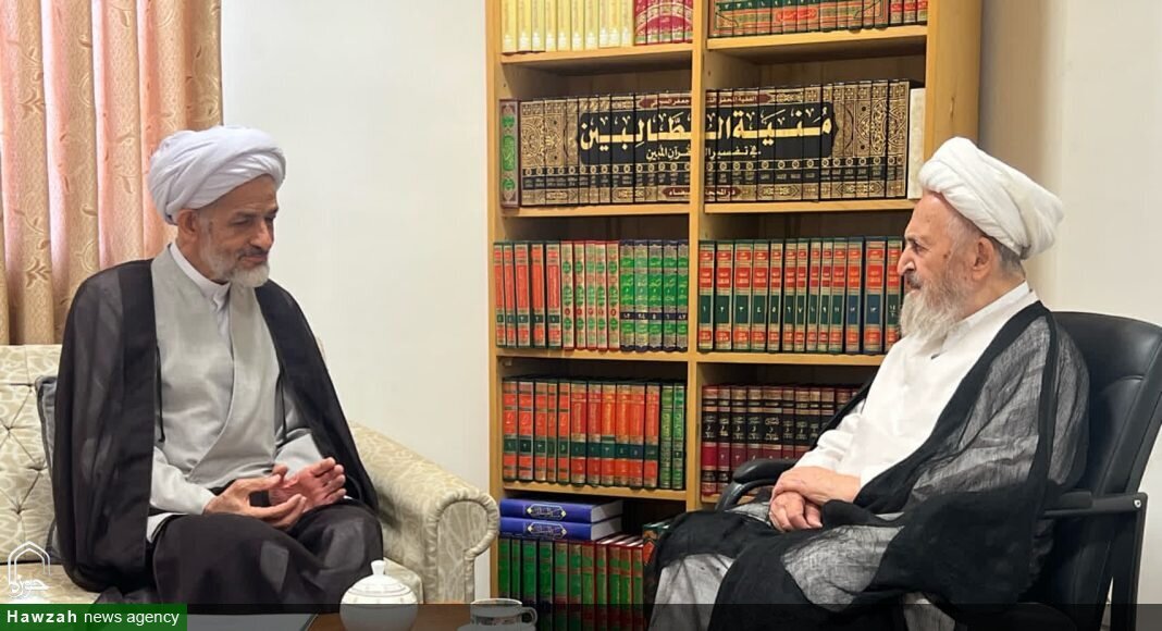 Head of Supreme Assembly of Islamic Wisdom Meets Grand Ayatollah Sobhani