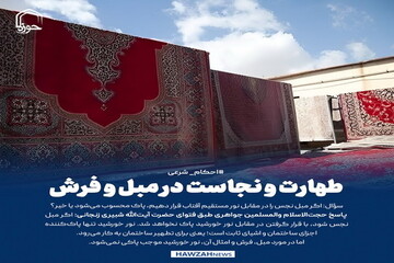 عکس نوشت| طهارت و نجاست در مبل و فرش