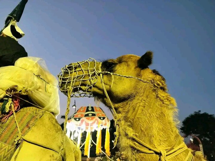 لکھنؤ