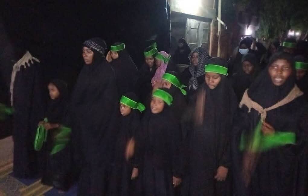 طنین حماسه حسینی در غرب آفریقا/ برگزاری آیینهای باشکوه سوگواری روز دوم محرم در نیجر و نیجریه + عکس