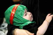 تصاویر/ حرمِ حضرت معصومہؑ میں عالمی یوم علی اصغر (ع) کے موقع پر عظیم الشان اجتماع