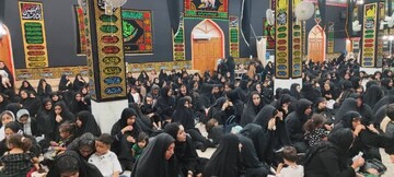 تصاویر/ مراسم شیرخوارگان حسینی در شهر بندرریگ