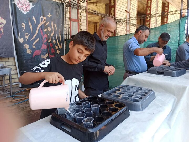 تصاویر/ نماز عبادی سیاسی جمعه کاشان