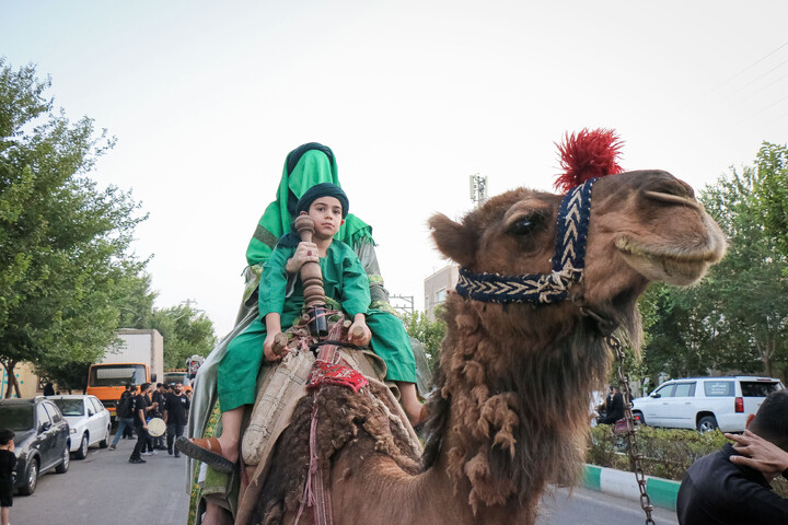 تصاویر/ قافله عزای ورود کاروان نمادین امام حسین علیه السلام به کربلا