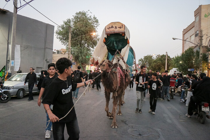 تصاویر/ قافله عزای ورود کاروان نمادین امام حسین علیه السلام به کربلا