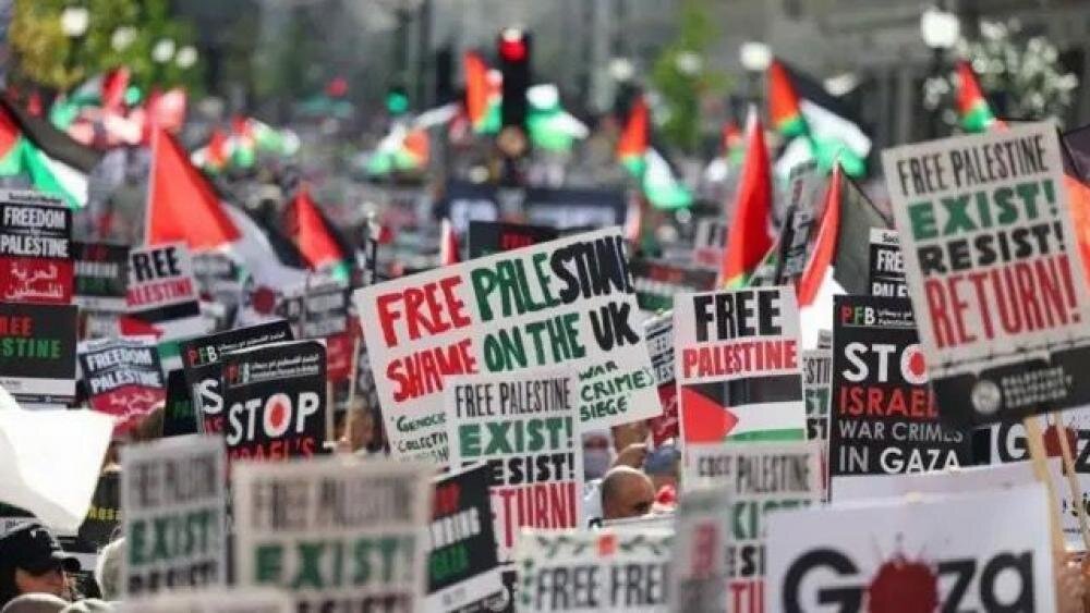 What are the trends of global solidarity with Palestine today?